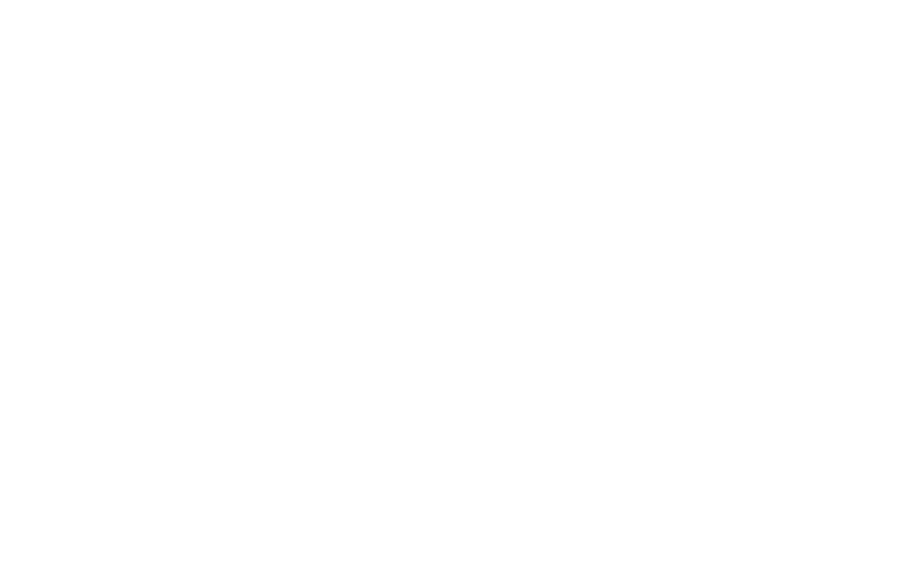Brand Partner 6